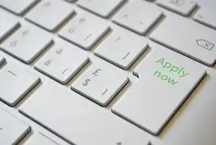 万网域名服务器IP查询全攻略，从基础操作到高级设置的完整指南，万网域名怎么解析到自己的服务器