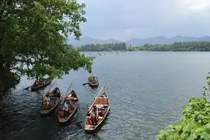 中国最大吞吐湖泊探秘，鄱阳湖与三峡库区的生态博弈与功能重构，中国最大的吞吐湖是哪里的