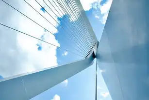 SEO视角下的标签设计优化策略，提升内容可见性与用户粘性的全流程指南，对seo有用的标签