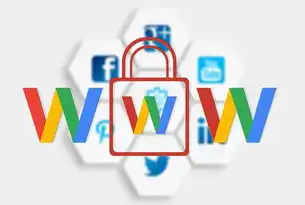 数字世界的基石，www网站的技术演进与时代价值，顺产分娩WWW网站