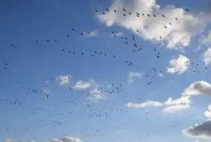 数字化转型浪潮下，企业上云的必由之路与战略考量，公司有必要建云盘吗