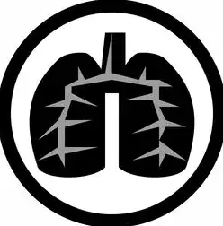 2023年攀枝花SEO服务深度指南，本地化运营与效果提升全解析，攀枝花本地的网站