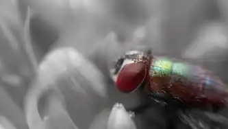 系统安全必看，关闭远程桌面服务的全流程指南与进阶防护方案，怎么关闭远程桌面的服务功能