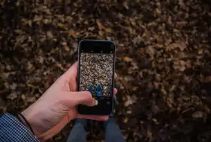 手机WAP网站零基础开发指南，源码架构解析与实战案例，wap手机网站代码