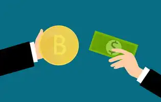 金融投资网站源码开发核心技术解析，从架构设计到智能风控系统构建，金融投资网站源码查询