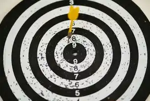 10个SEO成功案例解析，体育行业如何通过优化实现流量翻倍，seo成功的案例和分析