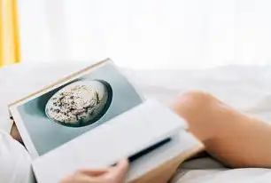 女性健康网站源码开发指南，从架构设计到功能实现的全流程解析，女性健康网站源码下载
