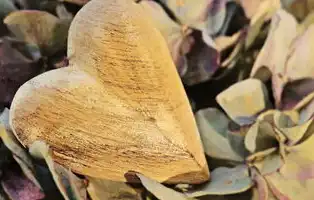 SEO优化策略，如何通过智能算法提升搜索引擎可见度的全解析，微博怎么设置只看关注人的动态内容