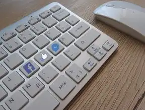 数字时代的生命线，文件保存快捷键背后的高效工作哲学，文件保存快捷键ctrl加什么