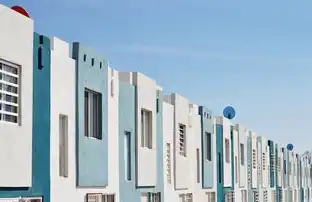 数字化基建新范式，服务器托管与租用服务的全维度解析与战略价值，服务器托管和租用公司合作