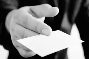 应用安全，数字时代的数字免疫系统，应用安全是指什么