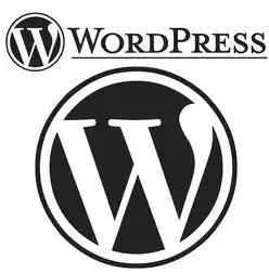 WordPress SEO主题深度优化全攻略，从架构搭建到流量转化的12个核心策略，WordPress主题推荐