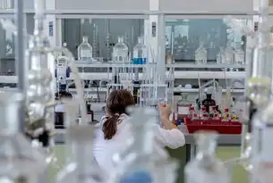 泄露性试验与压力试验，工业安全防护的双重验证体系，泄露性试验和压力试验哪个先做