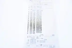 全链路视角下的网站访问速度优化实践，从精准诊断到智能运维的数字化转型路径，网站访问速度测试 真实模拟网速