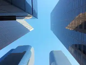 海外服务器租用深度解析，技术选型、成本控制与合规运营全指南，国外服务器租用平台