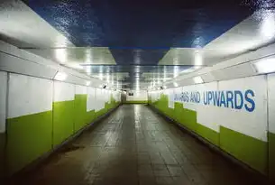 智慧赋能，人力资源共享服务中心数字化转型路径与价值重构研究，人力资源数字化平台