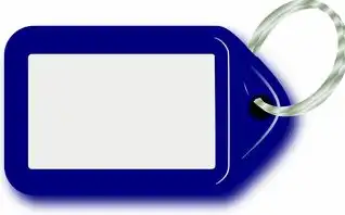 SEO优化中的Tag标签应用指南，从基础到高阶的策略解析（含2024年最新算法适配）tag标签 生物