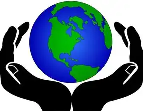 中国门户网站发展图谱，从信息集散到生态重构的行业全景扫描，香港门户网站有哪些