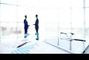 网站迁移全流程指南，从风险预控到长效运营的系统性解决方案，网站迁移多少钱