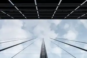 混合云架构，企业数字化转型的核心驱动力与关键技术解析，混合云解决方案