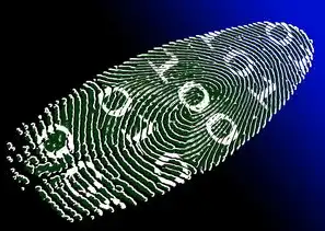 数字艺术新纪元，深度解析现代雕塑网站的源码架构与技术创新，雕塑网站源码大全