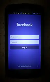 中国联通与电信共建数字化底座，揭秘双寡头服务器托管合作模式的技术重构与产业价值，联通机房服务器托管