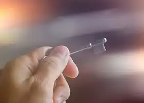 应用锁安全机制的多维度解析与风险防控策略，应用锁安全问题重置怎么改