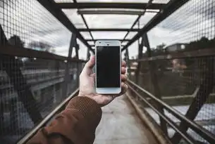 手机储存文档的10种高效打开方法，从基础操作到高级技巧全解析，手机的文件存储在哪里打开