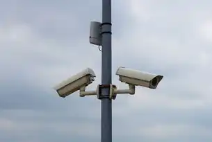 智能视频监控报警系统，构建城市安全新生态的技术实践与未来展望，智能报警监控器