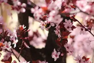 智能花卉电商系统源码开发实践，全栈技术架构与高并发解决方案，花卉网站模板