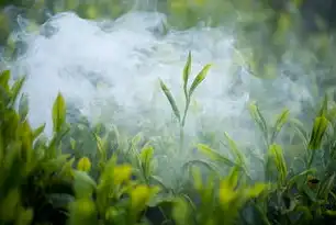 茶韵千年·万物互联，解码数字时代茶叶消费新生态，茶叶网站建设