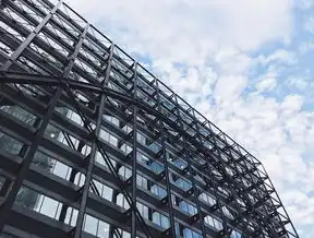 云端重构视觉革命，深度解析云服务器在三维数字建模中的技术实践与未来展望，云服务器搭建三维图像怎么弄