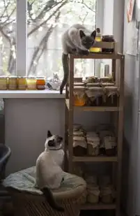 沉浸式疗愈经济，解码Z世代视角下的猫咖产业多维价值，猫咖的行业分析