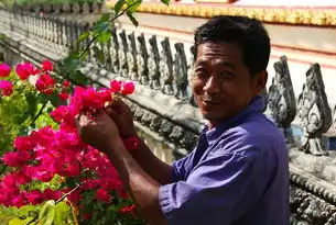 蓄水池与生力军，新时代村（社区）后备干部的体系化培育路径研究，村社区后备干部是什么编制