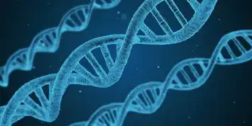 加密技术的双螺旋，从密钥生成到信息重构的完整解析，所谓加密是指