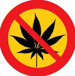 数字生态安全屏障，解构智能设备应用安装权限管控机制与用户应对策略，安全权限禁止安装应用怎么办