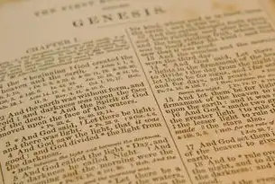 永久网站，数字时代的数字遗产与品牌永续发展终极指南，永久网站十大免费舆情网站