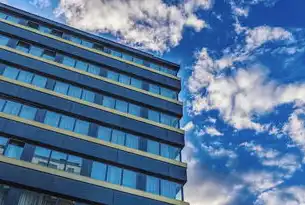 上海大数据管理中心，构建城市治理新范式的数据中枢，上海大数据管理中心应人