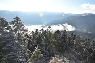 林芝秘境，藏地江南的诗意栖居与文明交融之旅，林芝市划定重点关注地域