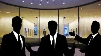 云南SEO公司排名及选择指南，2024年本土企业优化方案解析，云南seo公司哪家好一点